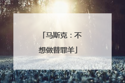 马斯克：不想做替罪羊
