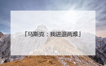 马斯克：我进退两难