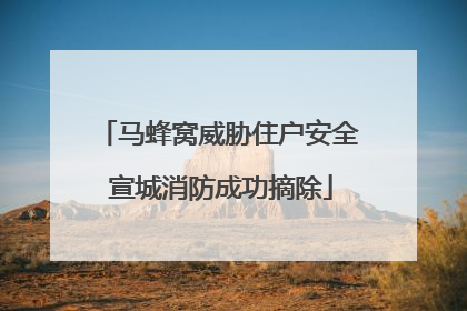 马蜂窝威胁住户安全 宣城消防成功摘除