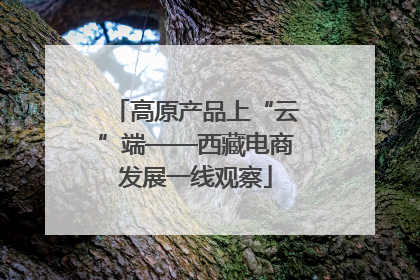 高原产品上“云”端——西藏电商发展一线观察