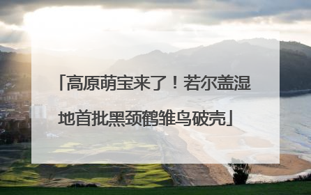 高原萌宝来了！若尔盖湿地首批黑颈鹤雏鸟破壳