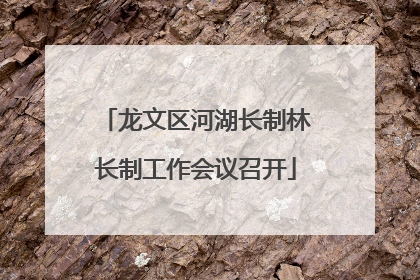 龙文区河湖长制林长制工作会议召开