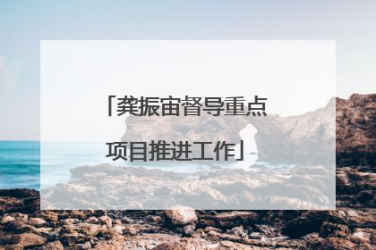 龚振宙督导重点项目推进工作
