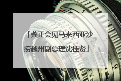 龚正会见马来西亚沙捞越州副总理沈桂贤
