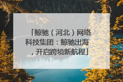 鲸驰（河北）网络科技集团：鲸驰出海，开启跨境新航程