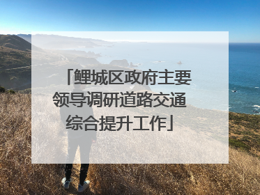 鲤城区政府主要领导调研道路交通综合提升工作
