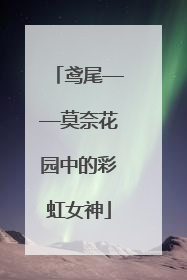 鸢尾——莫奈花园中的彩虹女神