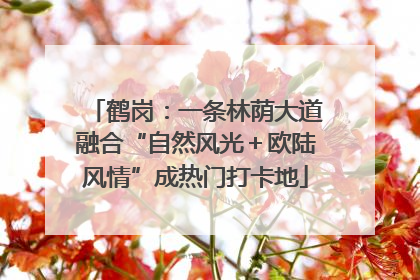 鹤岗：一条林荫大道融合“自然风光＋欧陆风情”成热门打卡地