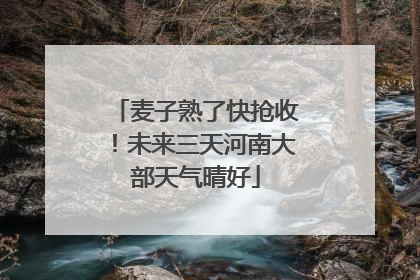 麦子熟了快抢收！未来三天河南大部天气晴好