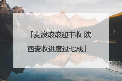 麦浪滚滚迎丰收 陕西麦收进度过七成