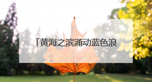 黄海之滨涌动蓝色浪潮——“共筑美丽海湾 守护蓝色家园”2025海洋保护净滩活动暨“美丽江苏—江河湖海青蓝行”海洋篇在连云港举行