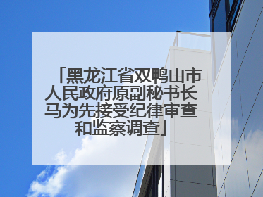 黑龙江省双鸭山市人民政府原副秘书长马为先接受纪律审查和监察调查