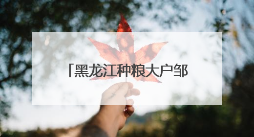 黑龙江种粮大户邹德海：保护“耕地中的大熊猫”黑土地，让增产可持续