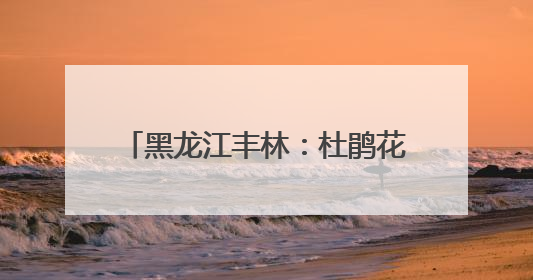 黑龙江丰林：杜鹃花海引游人 “花经济”助推文旅新热潮