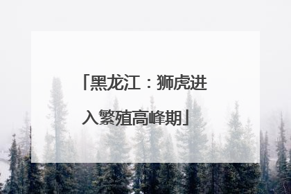 黑龙江：狮虎进入繁殖高峰期