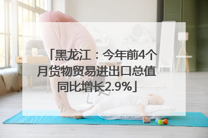 黑龙江：今年前4个月货物贸易进出口总值同比增长2.9%