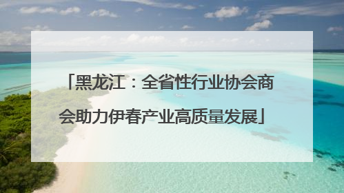 黑龙江：全省性行业协会商会助力伊春产业高质量发展