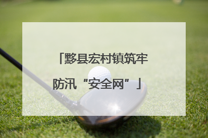 黟县宏村镇筑牢防汛“安全网”