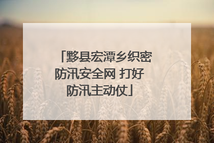 黟县宏潭乡织密防汛安全网 打好防汛主动仗