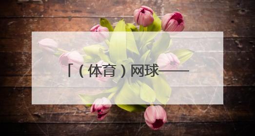 （体育）网球——法网：辛纳对阵阿尔卡拉斯（2）