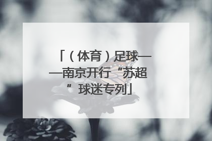 （体育）足球——南京开行“苏超”球迷专列