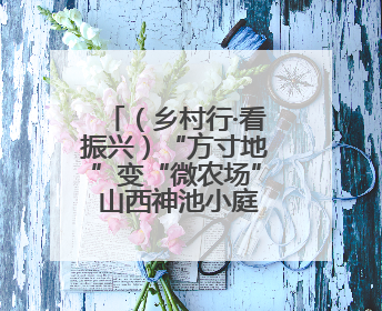 （乡村行·看振兴）“方寸地”变“微农场” 山西神池小庭院拓宽致富路