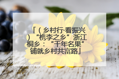 （乡村行·看振兴）“槜李之乡”浙江桐乡：“千年名果”铺就乡村共富路