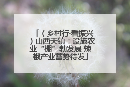 （乡村行·看振兴）山西天镇：设施农业“棚”勃发展 辣椒产业蓄势待发