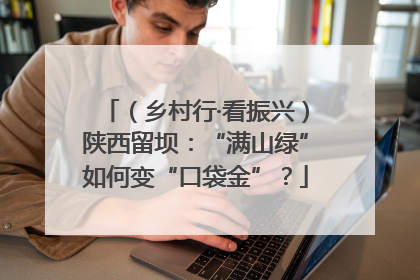（乡村行·看振兴）陕西留坝：“满山绿”如何变“口袋金”？