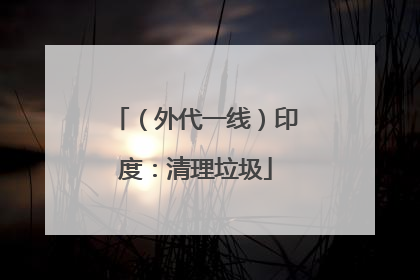 （外代一线）印度：清理垃圾