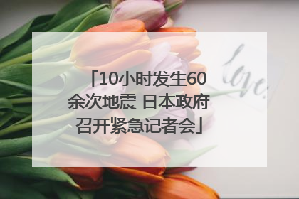 10小时发生60余次地震 日本政府召开紧急记者会