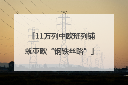 11万列中欧班列铺就亚欧“钢铁丝路”