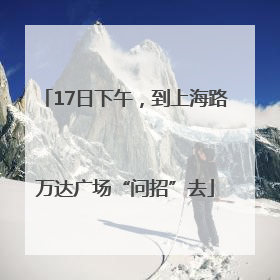 17日下午，到上海路万达广场“问招”去