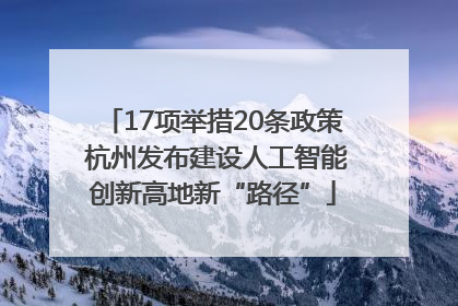 17项举措20条政策 杭州发布建设人工智能创新高地新“路径”