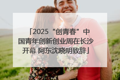 2025“创青春”中国青年创新创业周在长沙开幕 阿东沈晓明致辞