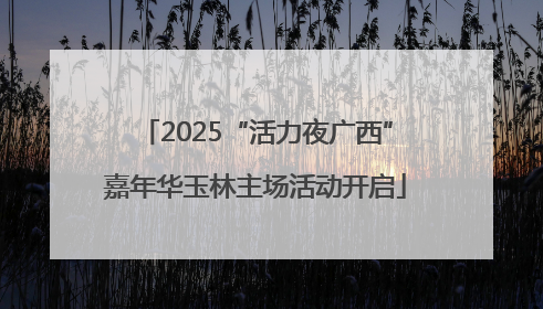 2025“活力夜广西”嘉年华玉林主场活动开启
