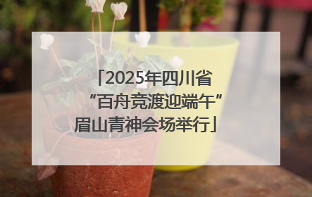 2025年四川省“百舟竞渡迎端午”眉山青神会场举行