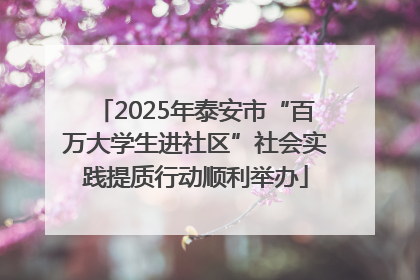 2025年泰安市“百万大学生进社区”社会实践提质行动顺利举办