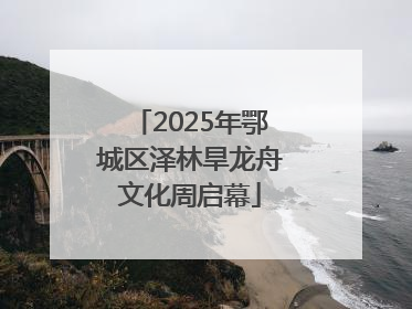 2025年鄂城区泽林旱龙舟文化周启幕