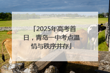 2025年高考首日，青岛一中考点温情与秩序并存