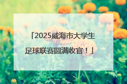 2025威海市大学生足球联赛圆满收官！