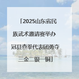 2025山东省民族武术邀请赛举办 冠县查拳代表团勇夺三金二银一铜