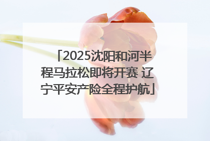 2025沈阳和河半程马拉松即将开赛 辽宁平安产险全程护航