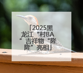 2025黑龙江“村BA”吉祥物“隆隆”亮相