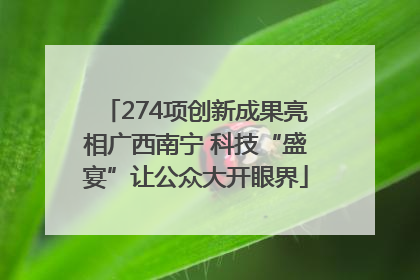 274项创新成果亮相广西南宁 科技“盛宴”让公众大开眼界