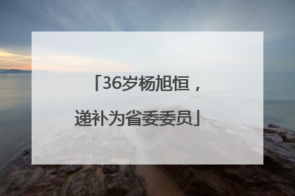 36岁杨旭恒，递补为省委委员