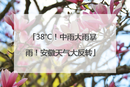 38℃！中雨大雨暴雨！安徽天气大反转