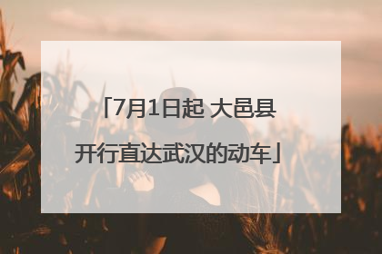 7月1日起 大邑县开行直达武汉的动车