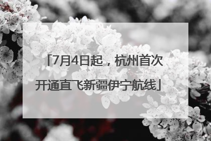 7月4日起，杭州首次开通直飞新疆伊宁航线