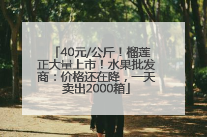 40元/公斤！榴莲正大量上市！水果批发商：价格还在降，一天卖出2000箱